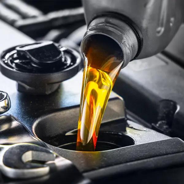 img13
